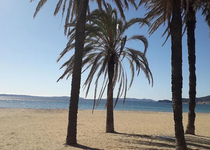 Apartment De Avec Jardin Bormes-les-Mimosas